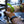 Load image into Gallery viewer, Isolated CLA 1250 - Conjugated Linoleic Acid