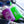 Load image into Gallery viewer, PVL® WIN 1.89L Flip-N-Sip Gym Jug / Bottle (Green)