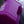 Load image into Gallery viewer, PVL® CONQUER 1.89L Flip-N-Sip Gym Jug / Bottle (Purple)